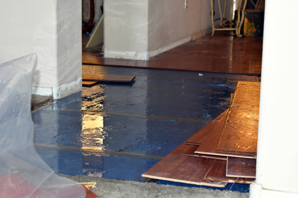 Professional Basement Flood Cleanup technician working in Roscoe, PA